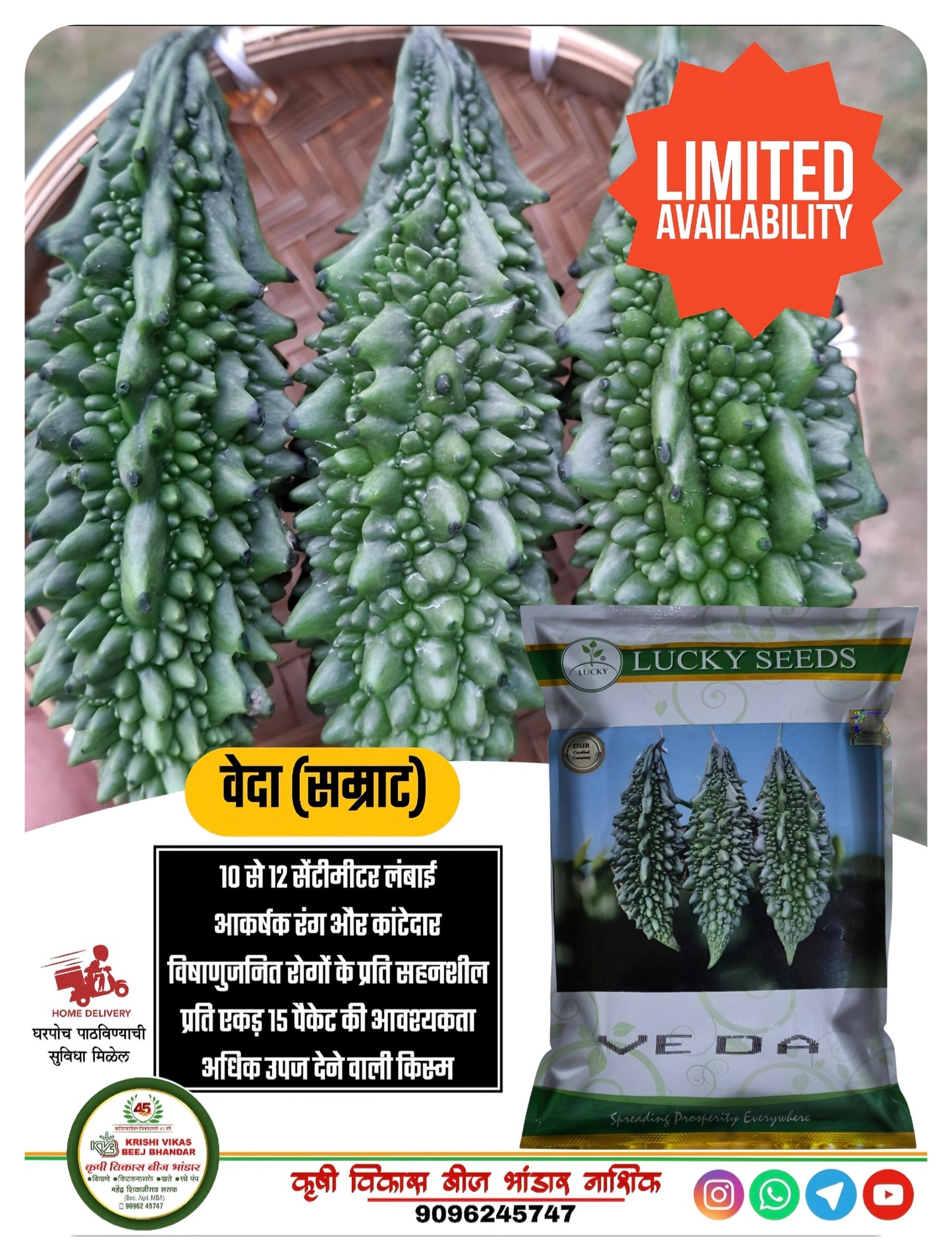 Bitter gourd Veda Samrat 50 gm