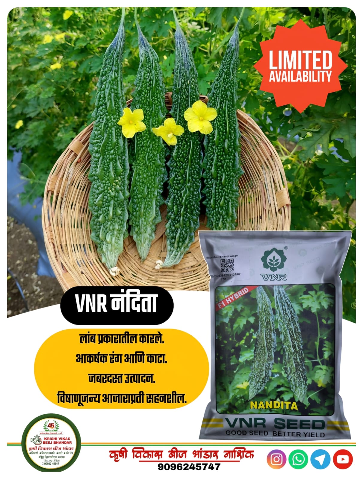 Bitter gourd VNR Nandita 50 gm
