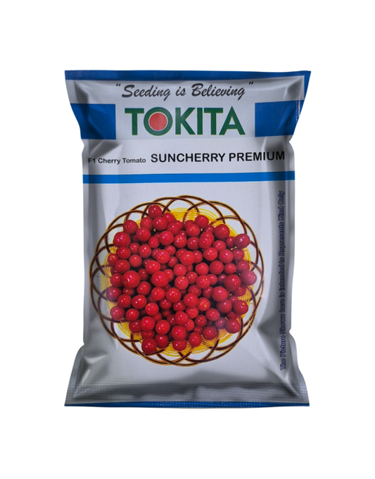 Sunchery Premium 100 seed