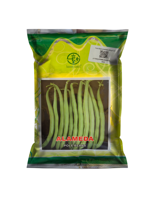 Beans Kaveri Almeda 500 gm