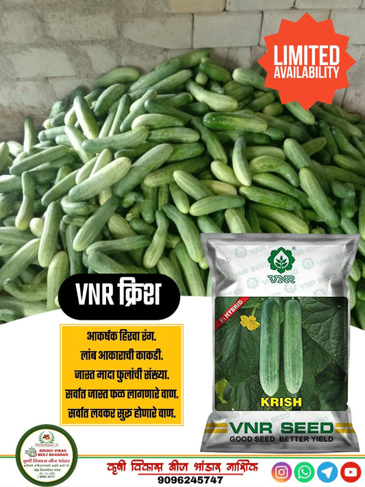 CUCUMBER VNR KRISH