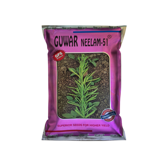 Gawar Neelam 51 500 gm