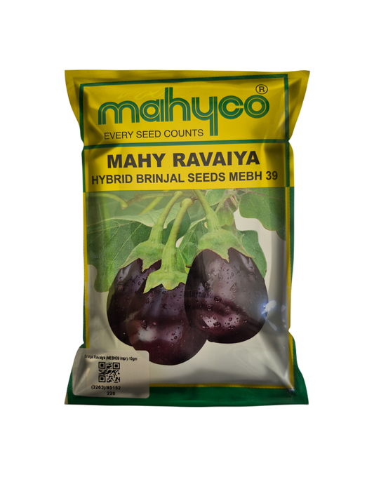 Brinjal Mahy Ravaiya