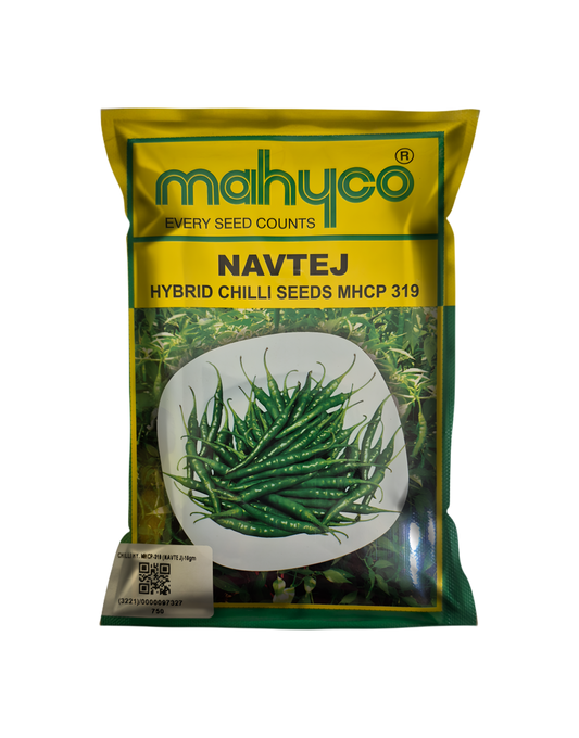 Chilli Navtej