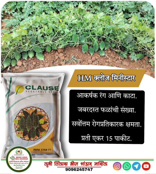 Bitter gourd MINISTAR 50 gm